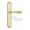 Ручка Venezia GIFESTION на планке PL02 полированная латунь